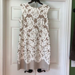 SANDRA DEAN Lace Look SZ 14 Dress~Lined~Gold Accent Zipper~ Contrasting Hemline